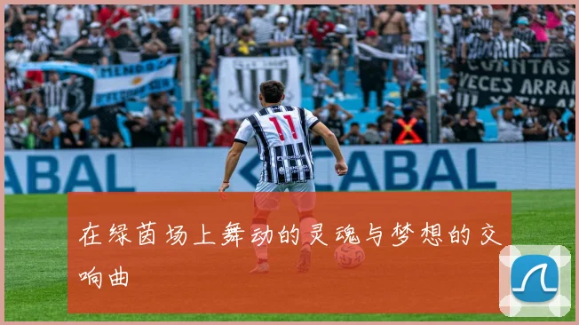 在绿茵场上舞动的灵魂与梦想的交响曲