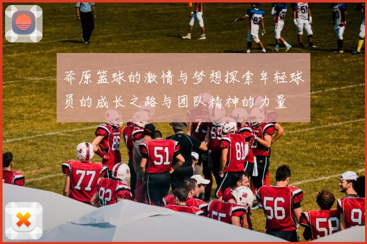 莽原篮球的激情与梦想探索年轻球员的成长之路与团队精神的力量