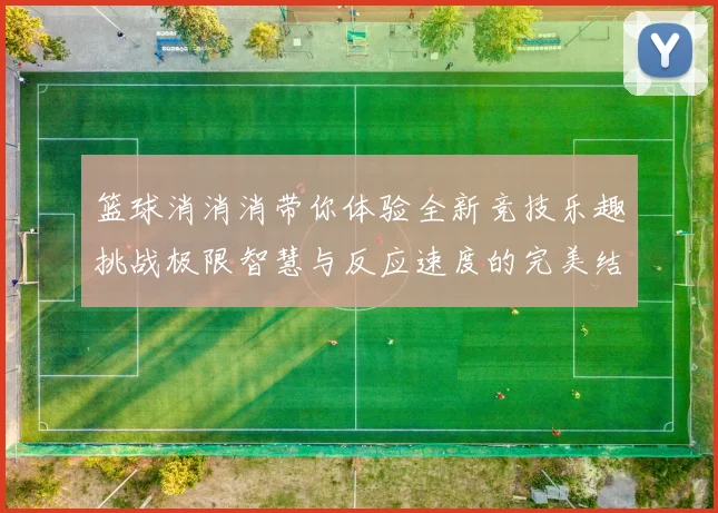 篮球消消消带你体验全新竞技乐趣挑战极限智慧与反应速度的完美结合