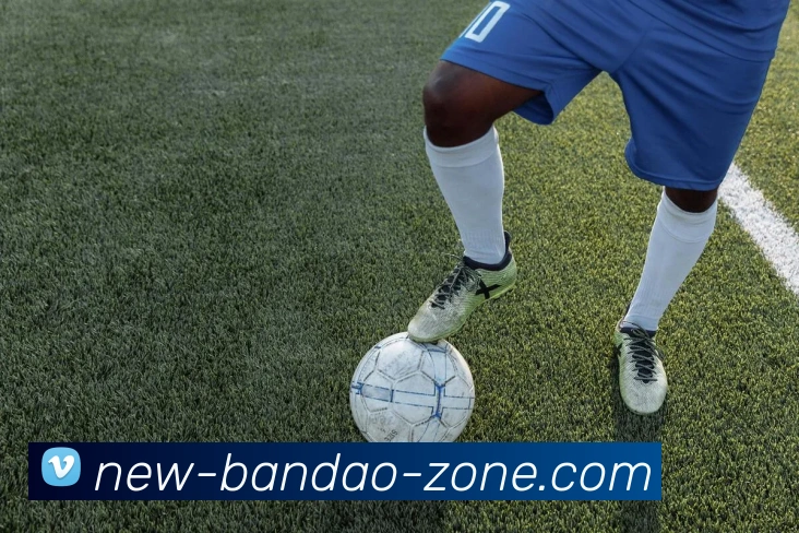 Bandao Sports服务体系